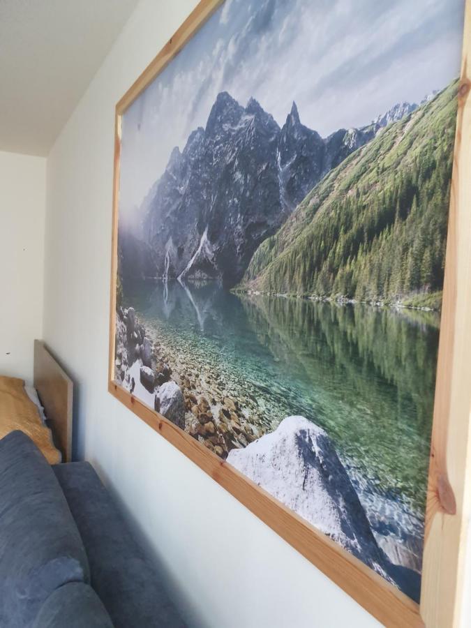 Apartament Izba W Centrum زاكوباني المظهر الخارجي الصورة