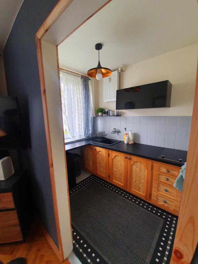 Apartament Izba W Centrum زاكوباني المظهر الخارجي الصورة