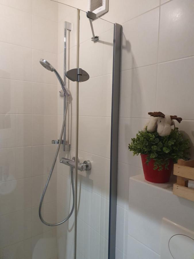 Apartament Izba W Centrum زاكوباني المظهر الخارجي الصورة