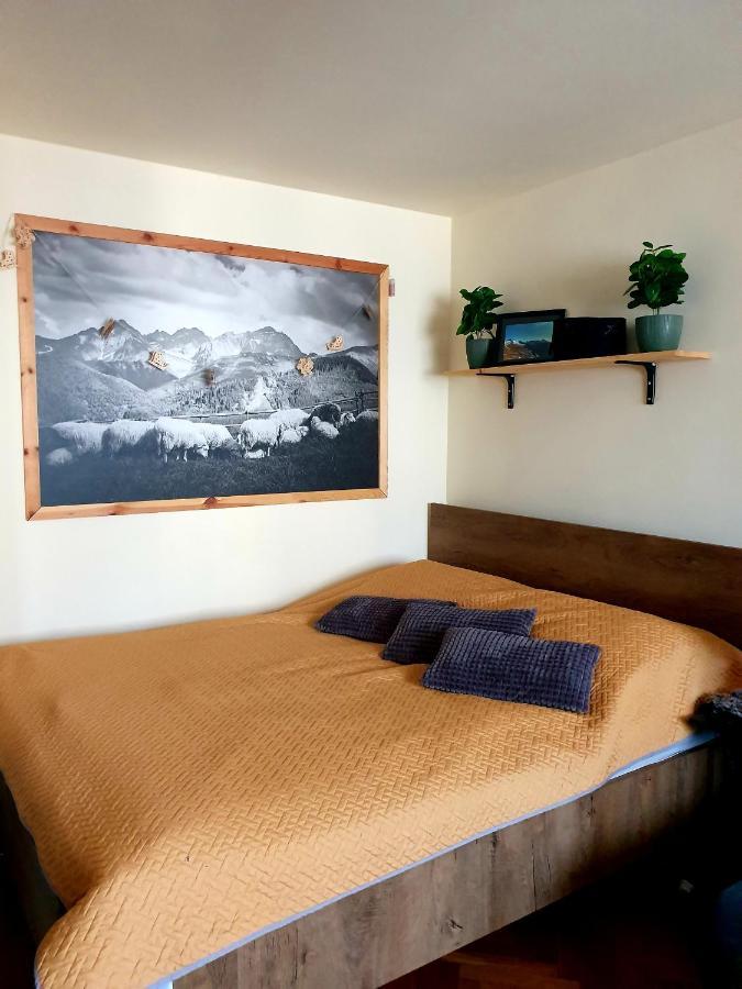 Apartament Izba W Centrum زاكوباني المظهر الخارجي الصورة